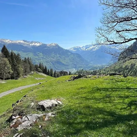 Cozy With Terrace Bbq Mountain View Brienz (Bern)