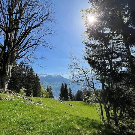Cozy With Terrace Bbq Mountain View Brienz (Bern)