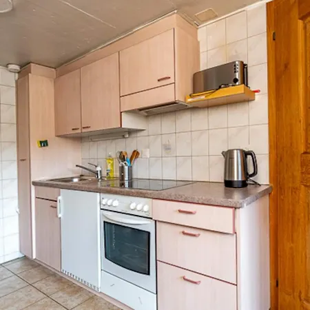 Cozy With Terrace Bbq Mountain View Holiday home Brienz (Bern)