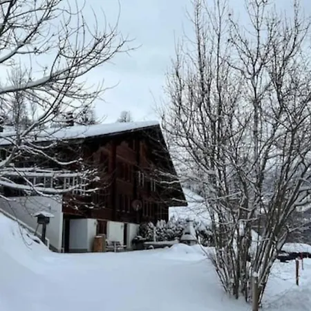 Holiday home Cozy With Terrace Bbq Mountain View Brienz (Bern)