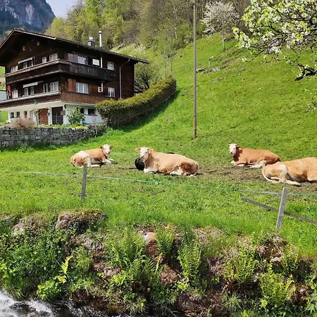 Cozy With Terrace Bbq Mountain View Brienz (Bern)