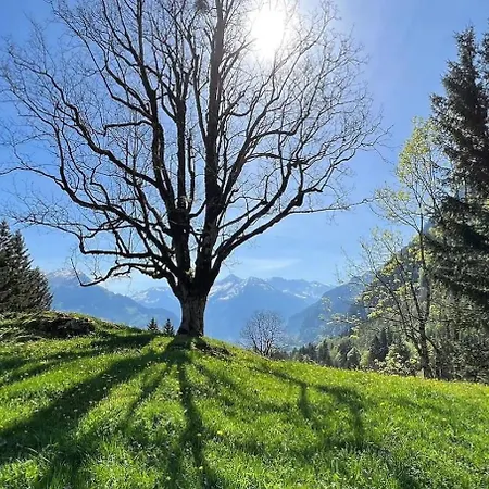 Cozy With Terrace Bbq Mountain View Holiday home Brienz (Bern)