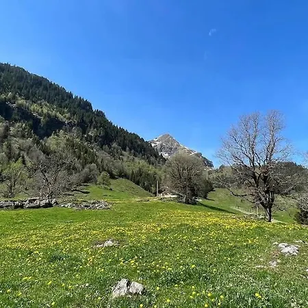 Cozy With Terrace Bbq Mountain View *