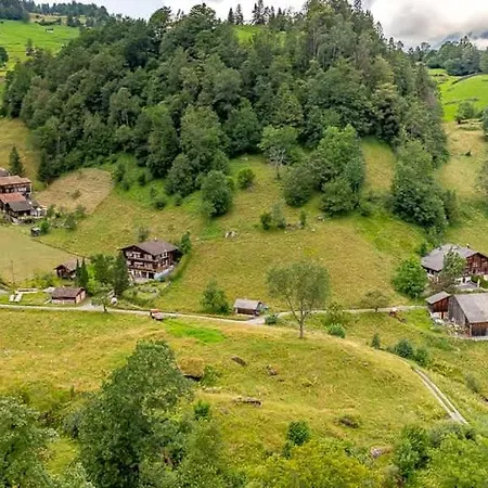 Cozy With Terrace Bbq Mountain View Brienz (Bern)