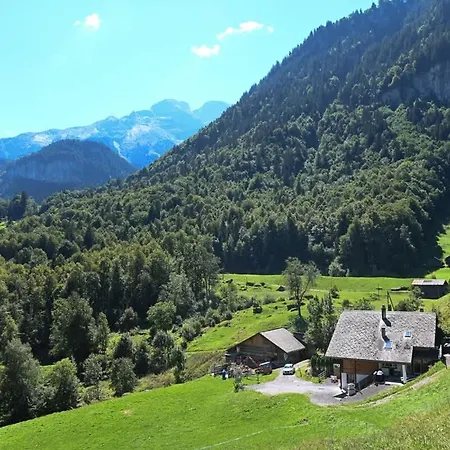 Σπίτι διακοπών Cozy With Terrace Bbq Mountain View Brienz (Bern)