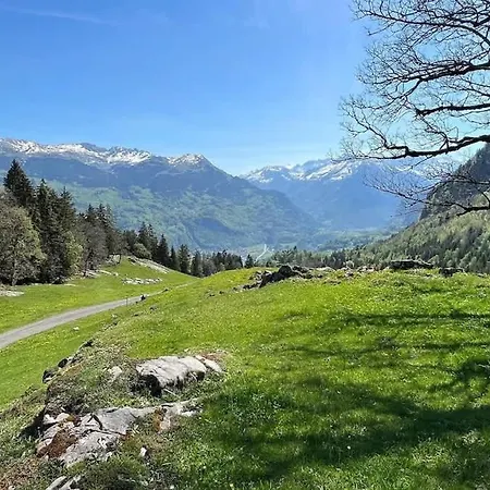 Cozy With Terrace Bbq Mountain View Hébergement de vacances Brienz (Bern)