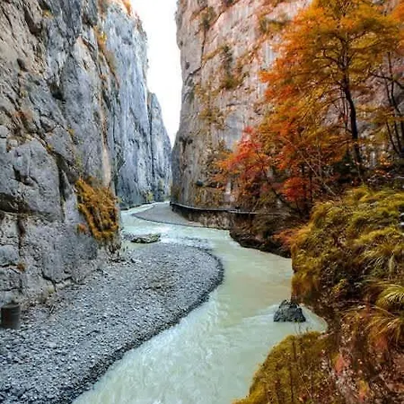 Cozy With Terrace Bbq Mountain View *