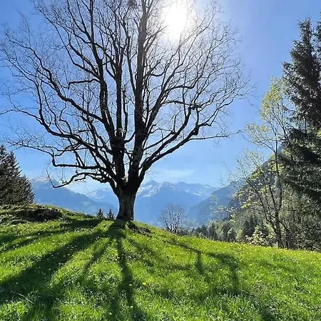 Cozy With Terrace Bbq Mountain View * Brienz (Bern)