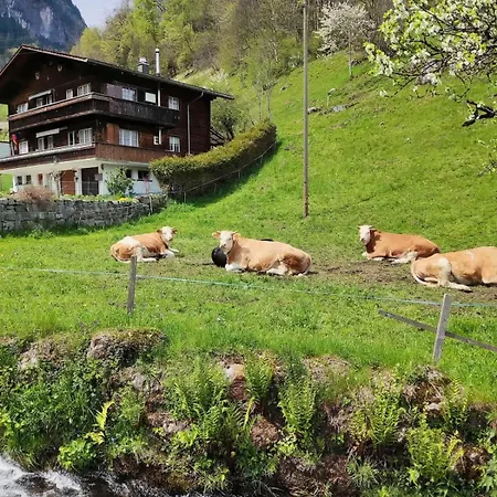 Cozy With Terrace Bbq Mountain View Casa vacanze