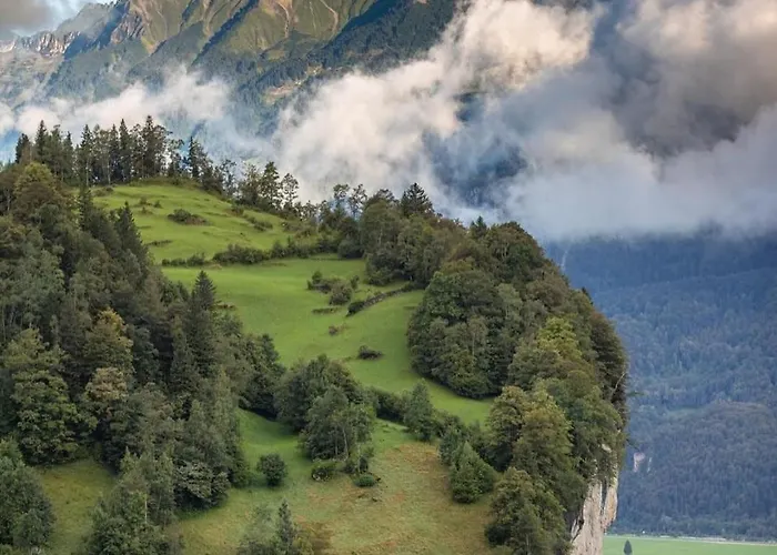 Cozy With Terrace Bbq Mountain View Casa vacanze Brienz (Bern)