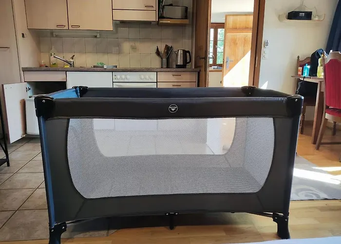 Feriehus Cozy With Terrace Bbq Mountain View Brienz (Bern)