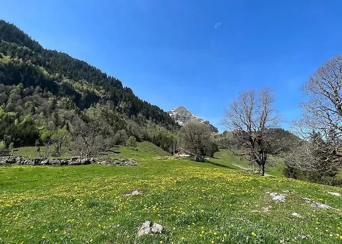 Cozy With Terrace Bbq Mountain View *