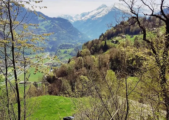 Cozy With Terrace Bbq Mountain View * Brienz (Bern)