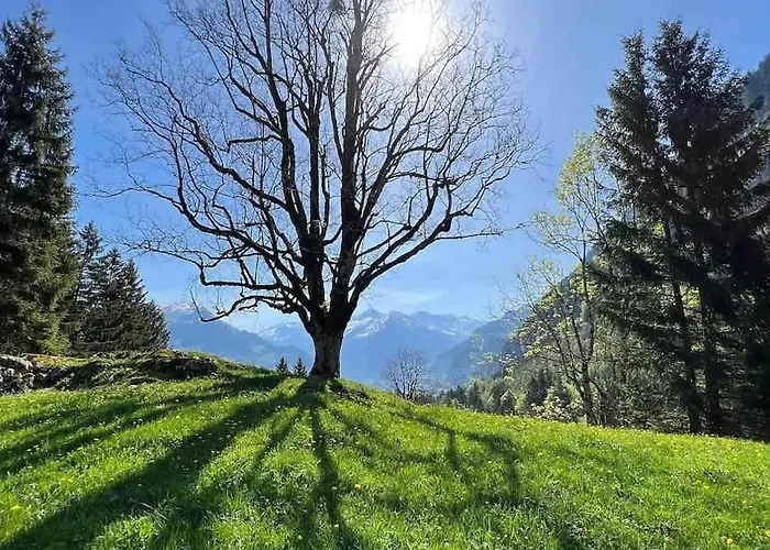 Cozy With Terrace Bbq Mountain View * Brienz (Bern)