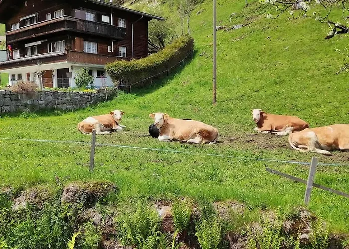 Cozy With Terrace Bbq Mountain View Feriehus