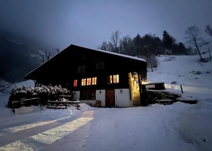 Cozy With Terrace Bbq Mountain View * Brienz (Bern)