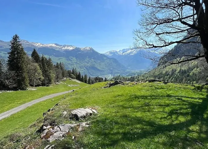 Cozy With Terrace Bbq Mountain View Ferienhaus Brienz (Bern)